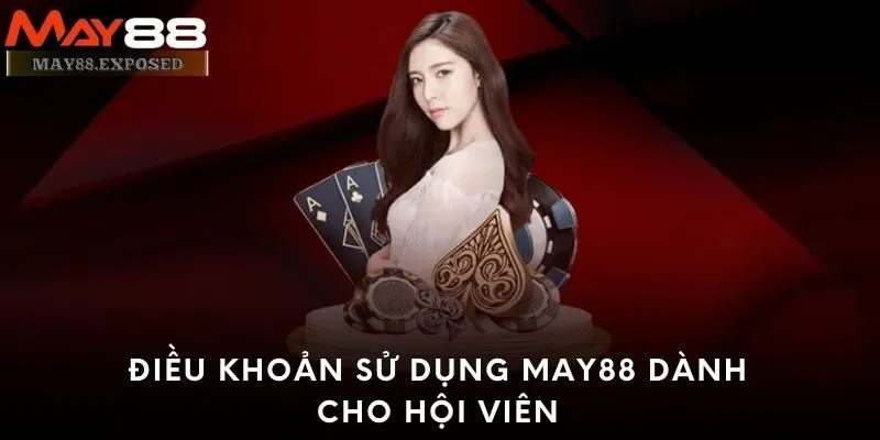 Điều khoản sử dụng May88 dành cho hội viên